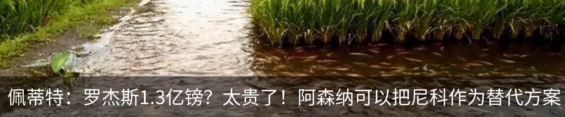 行业资讯