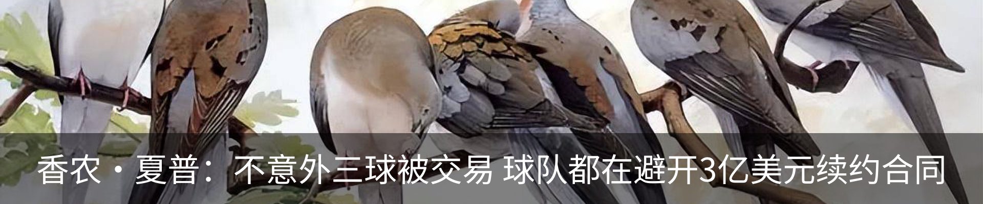 行业资讯